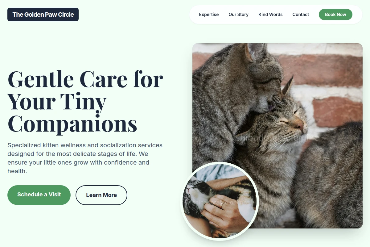 Kitten Animal Care