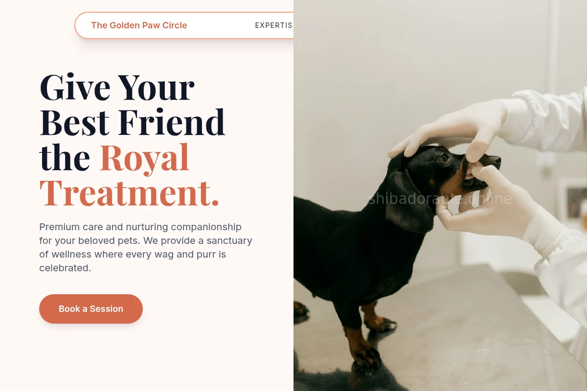 Society Animal Care