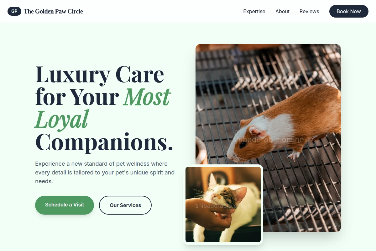 Fetchy Animal Care