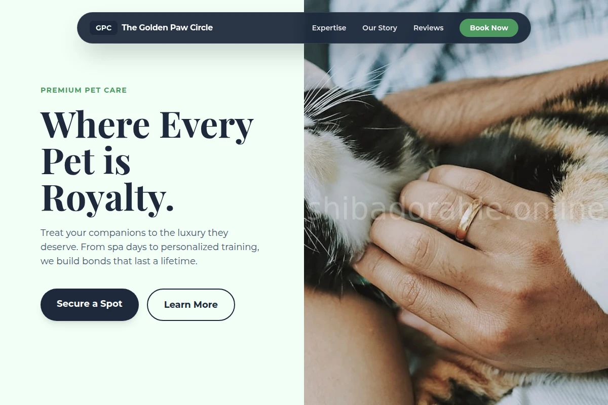 Club Animal Care
