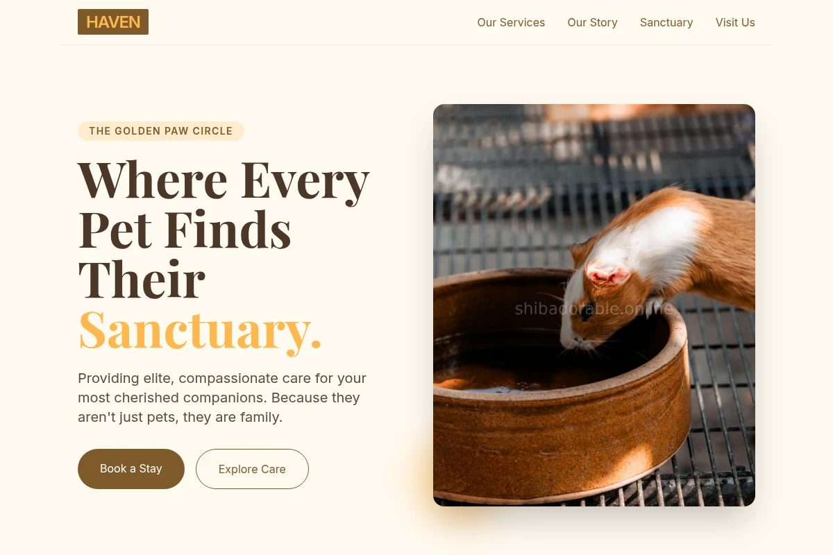 Haven Animal Care
