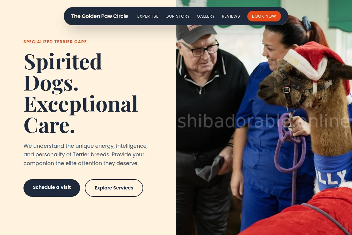Terrier Animal Care