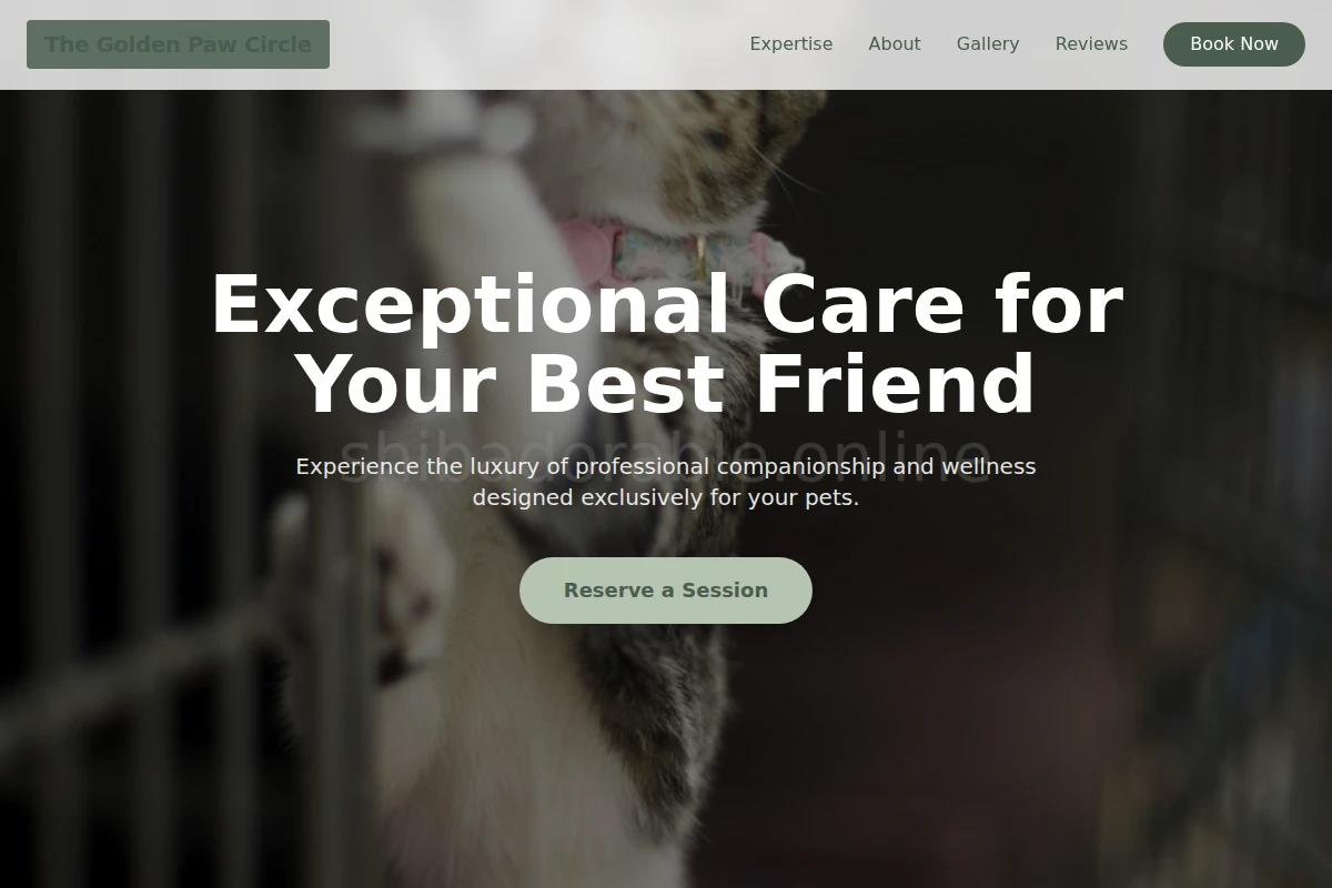 Collar Animal Care