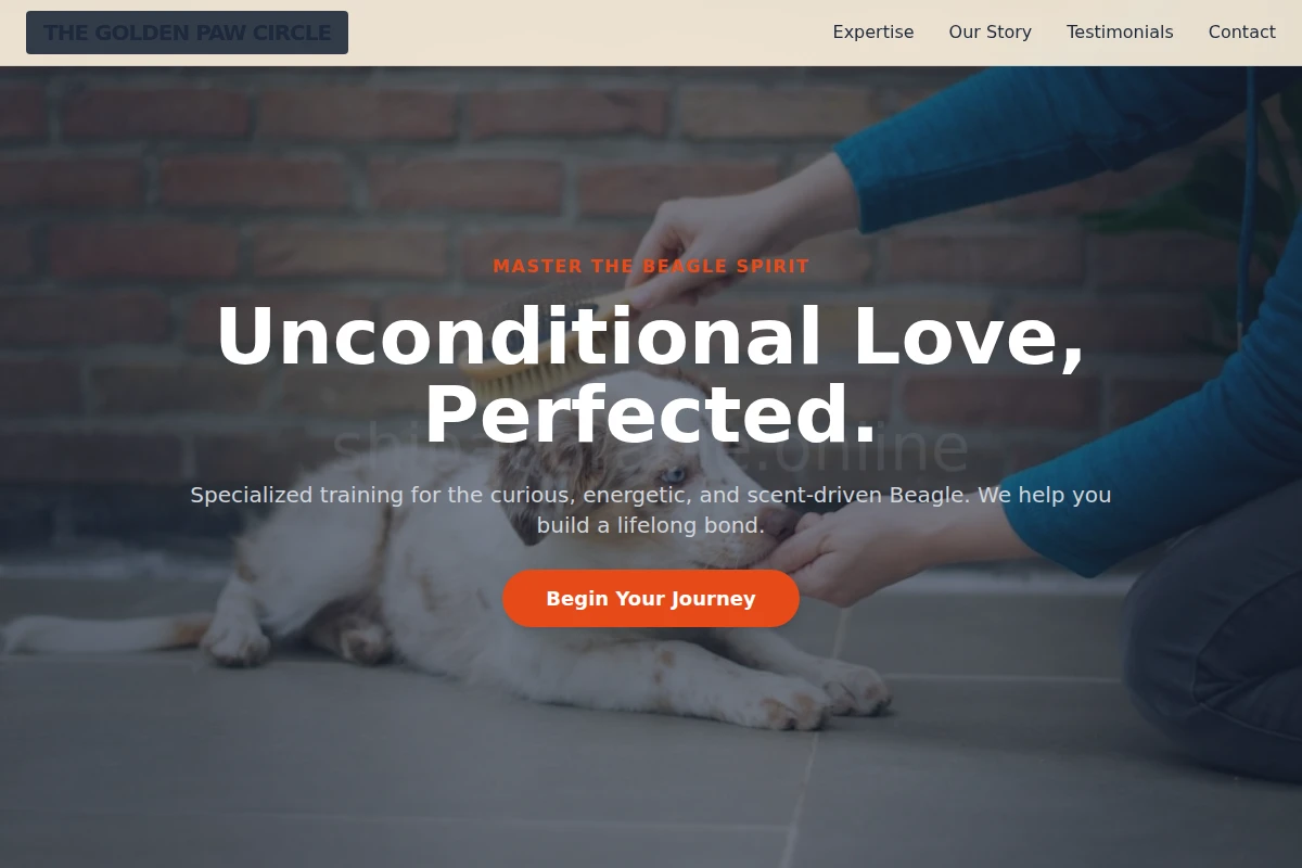 Beagle Dog Training