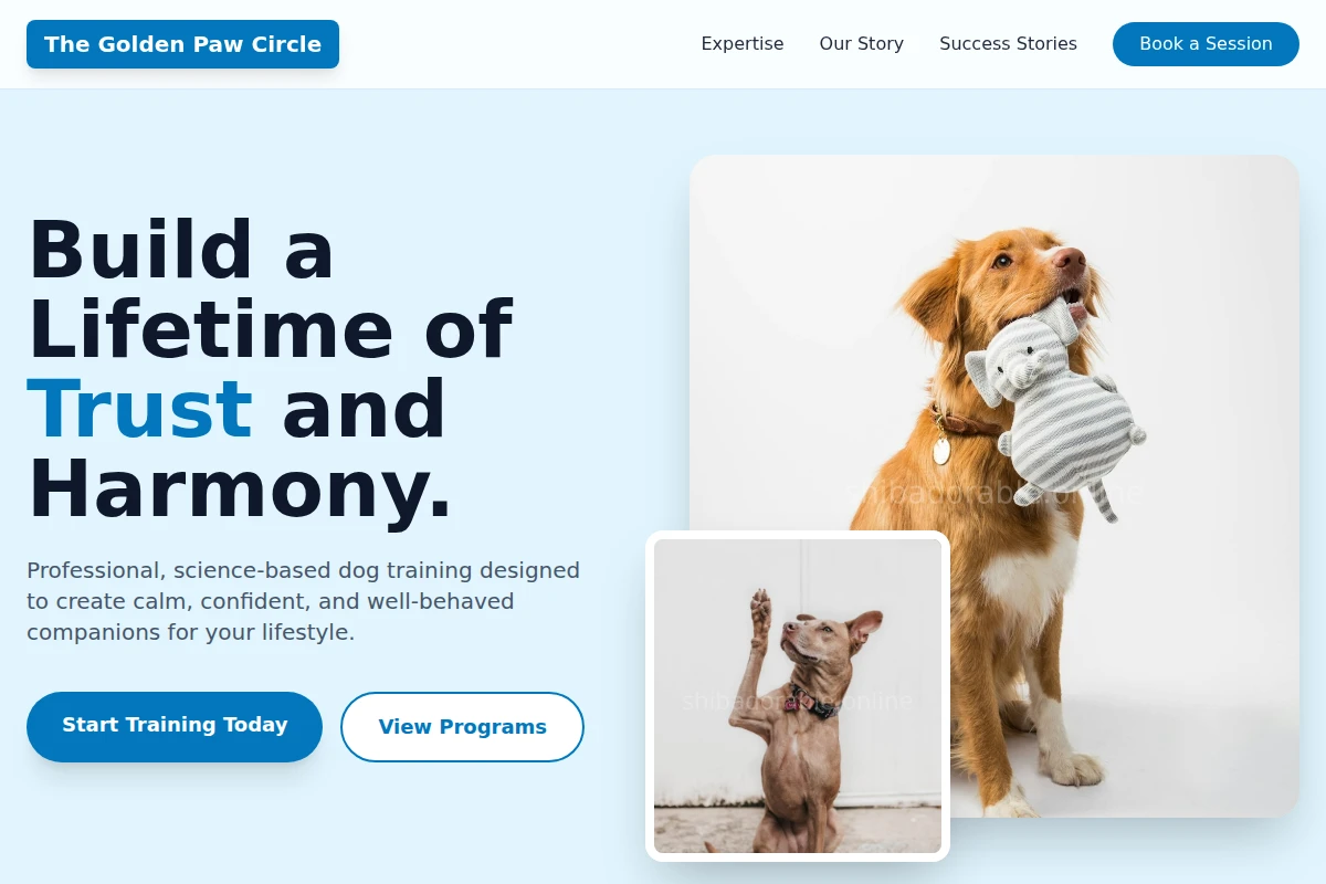 Groom Dog Training