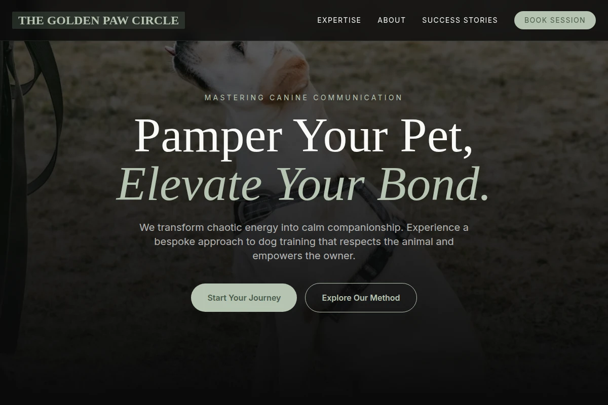 Fetch Dog Training