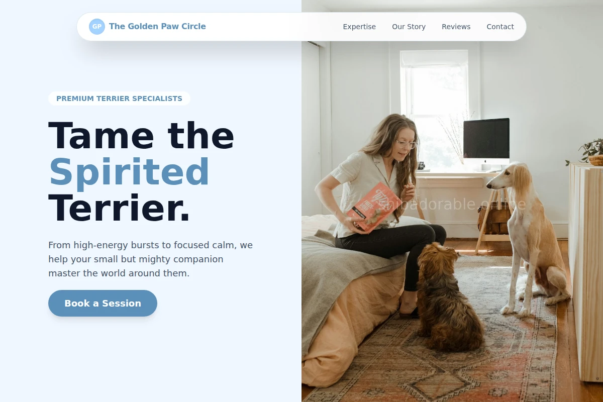 Terrier Dog Training