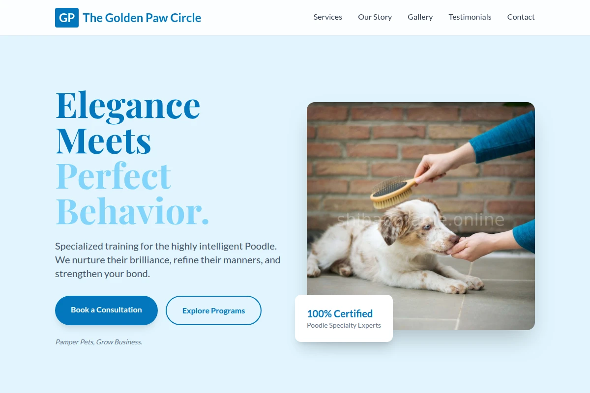 Poodle Dog Training