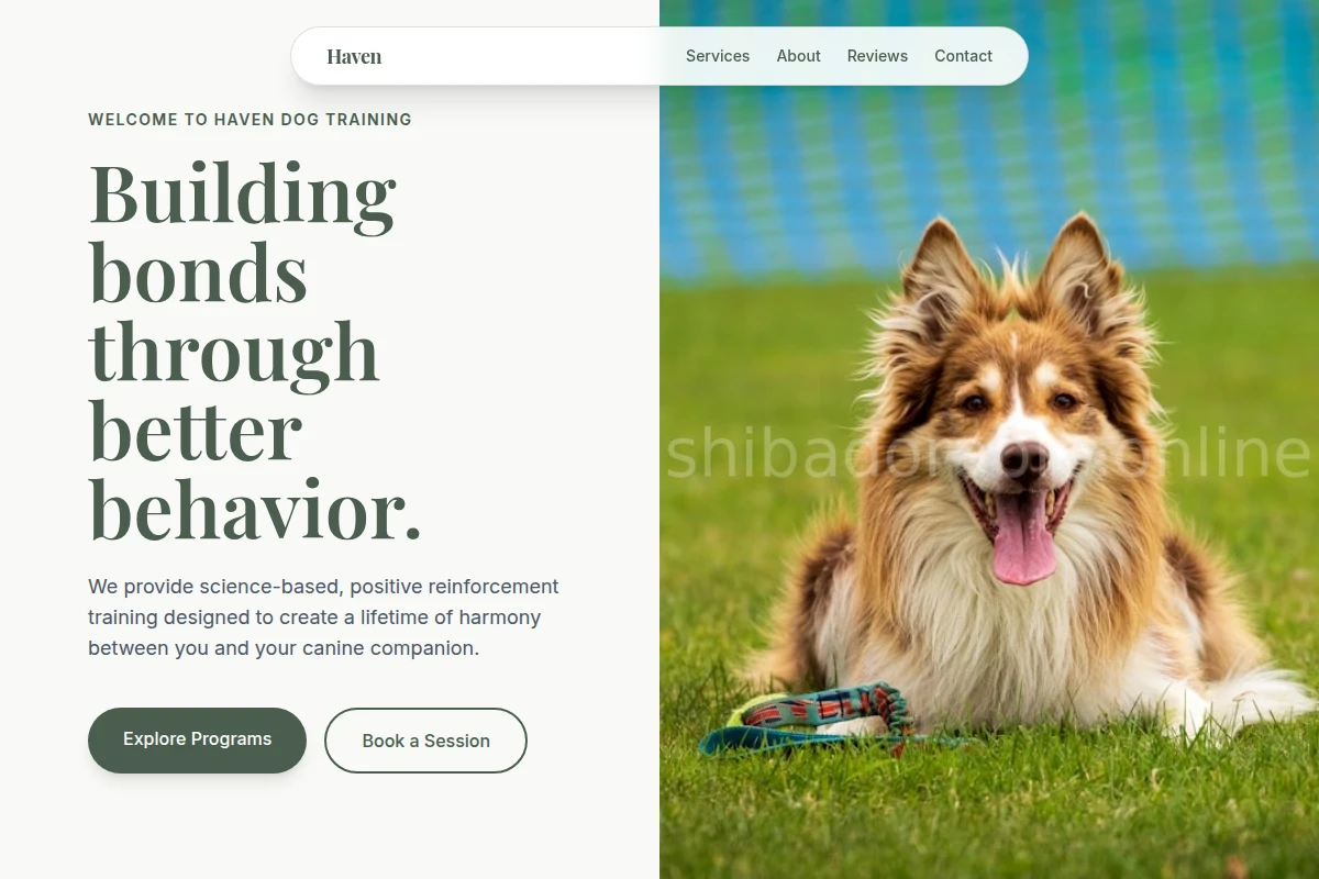 Haven Dog Training
