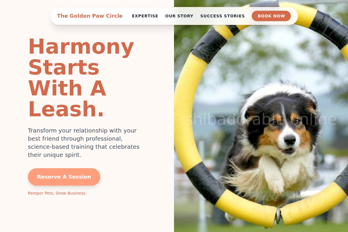 Hub Dog Training