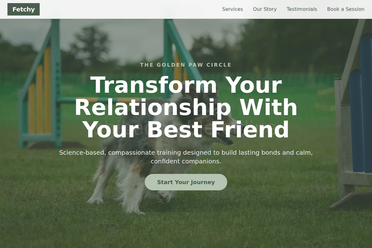 Fetchy Dog Training