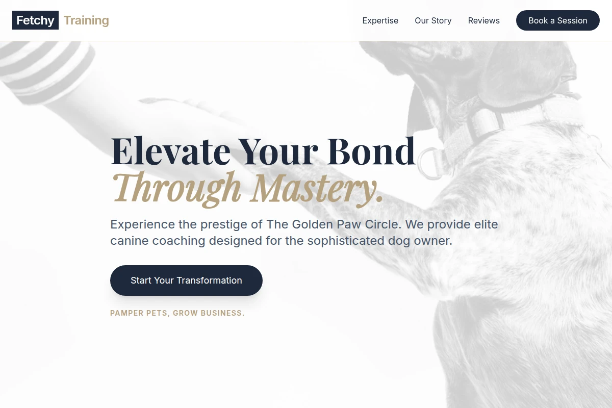 Fetchy Dog Training