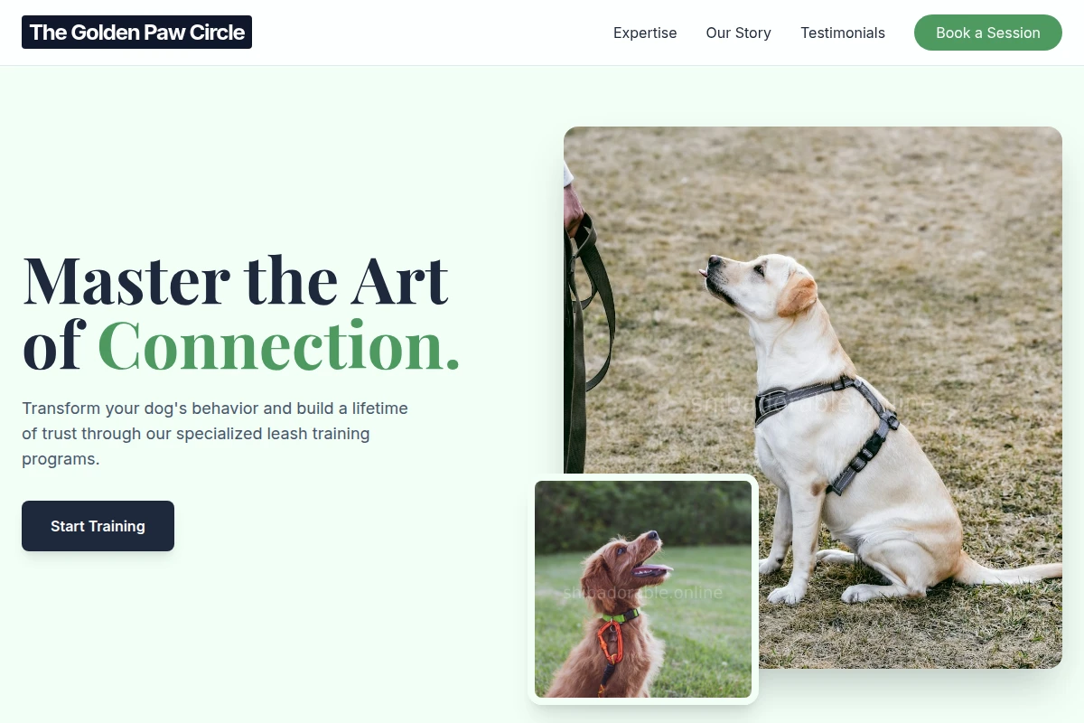 Leash Dog Training