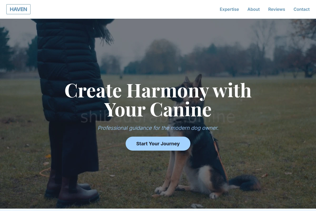 Haven Dog Training