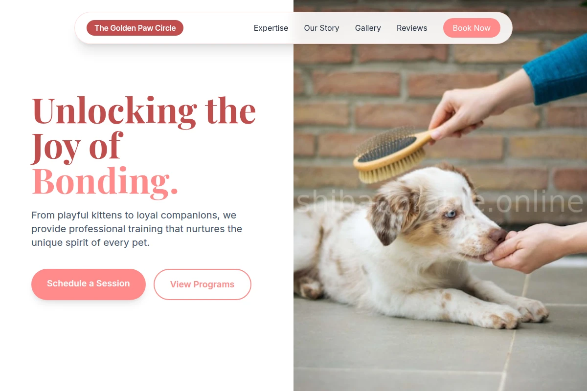 Kitten Dog Training