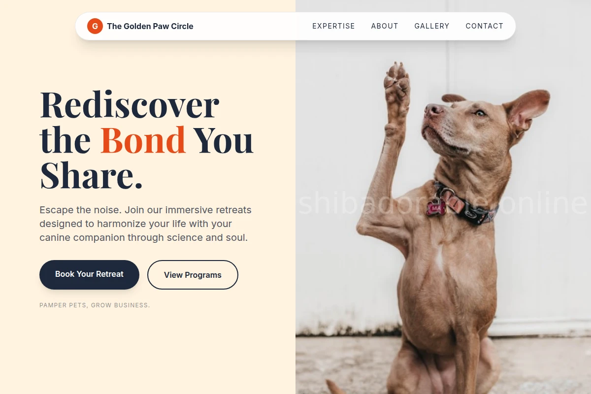 Retreat Dog Training