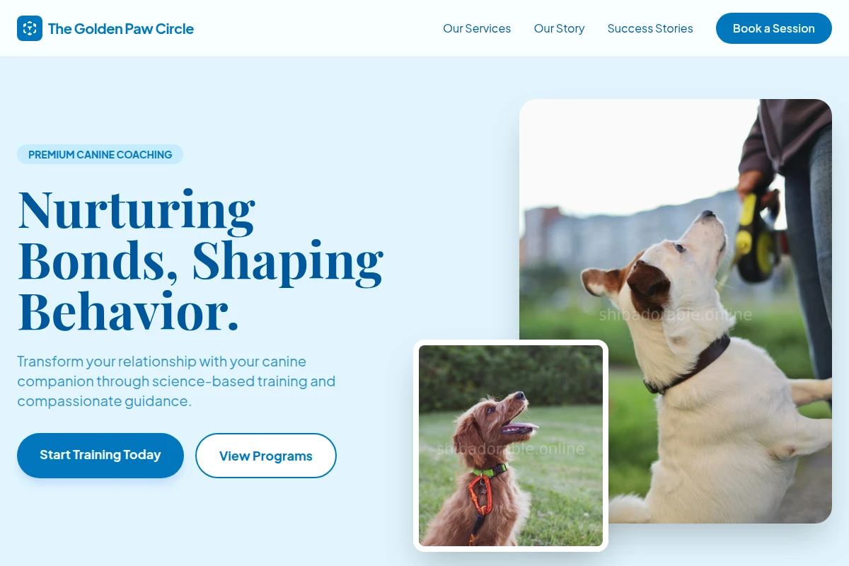 Club Dog Training