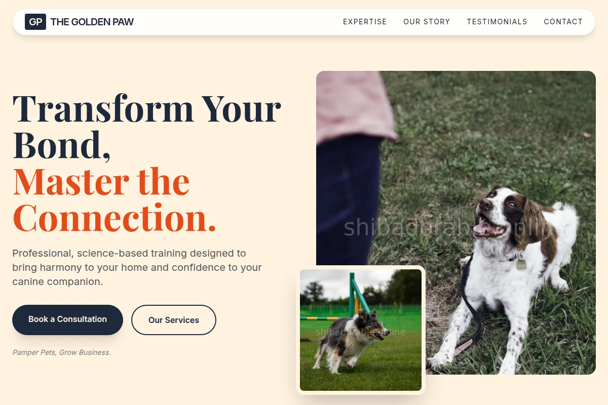 Yarn Dog Training
