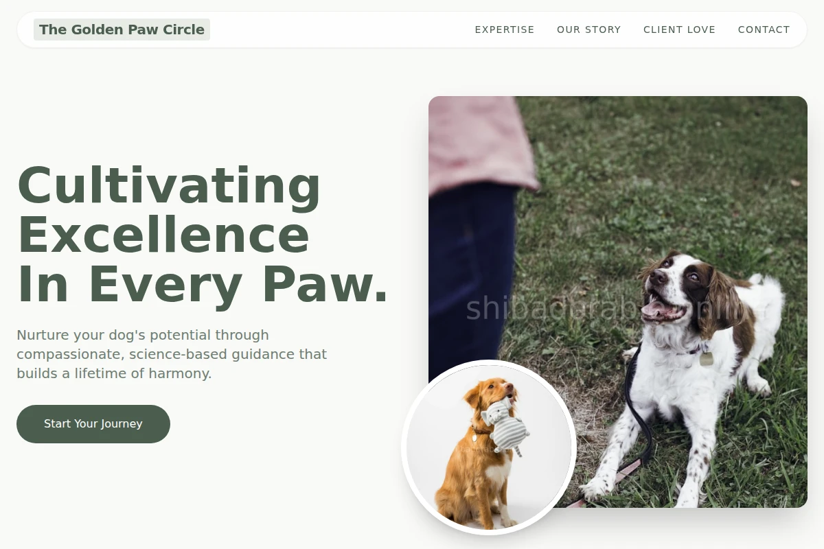 Woof Dog Training