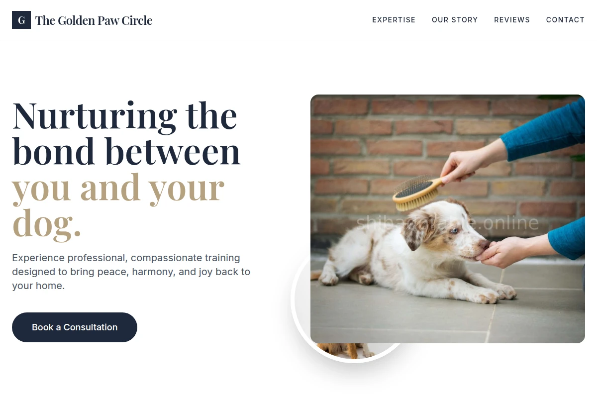 Playpen Dog Training