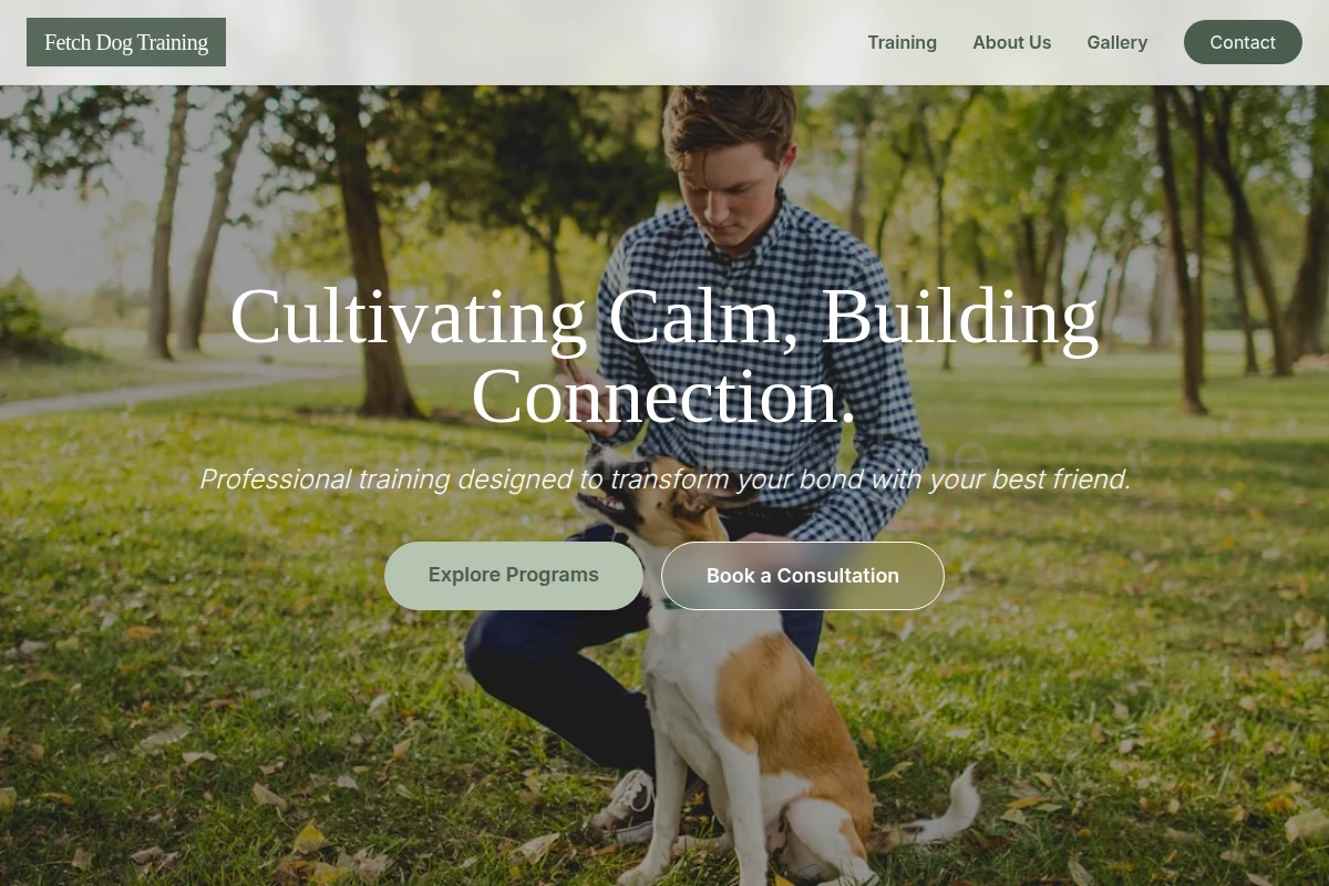 Fetch Dog Training