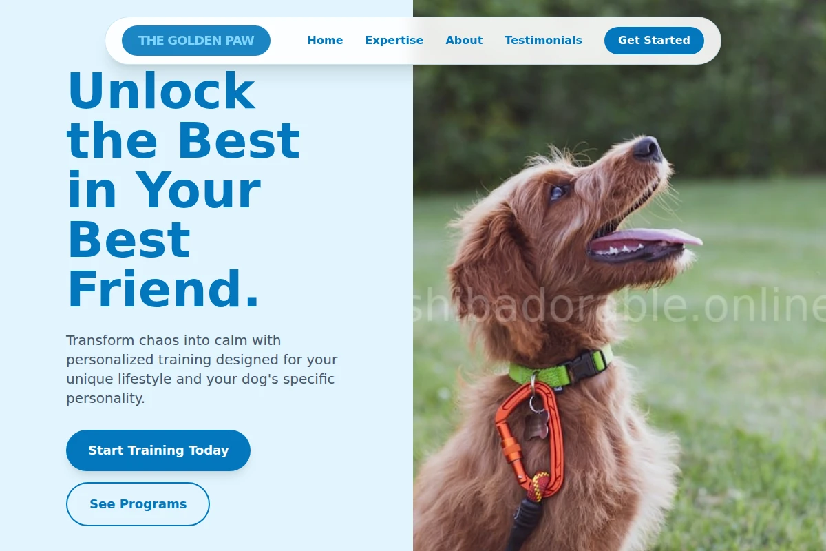 Hub Dog Training