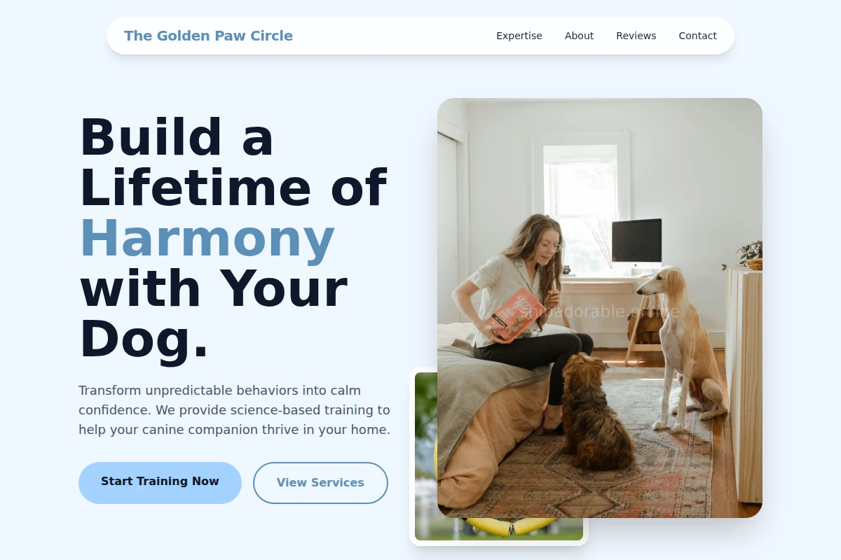 Treat Dog Training
