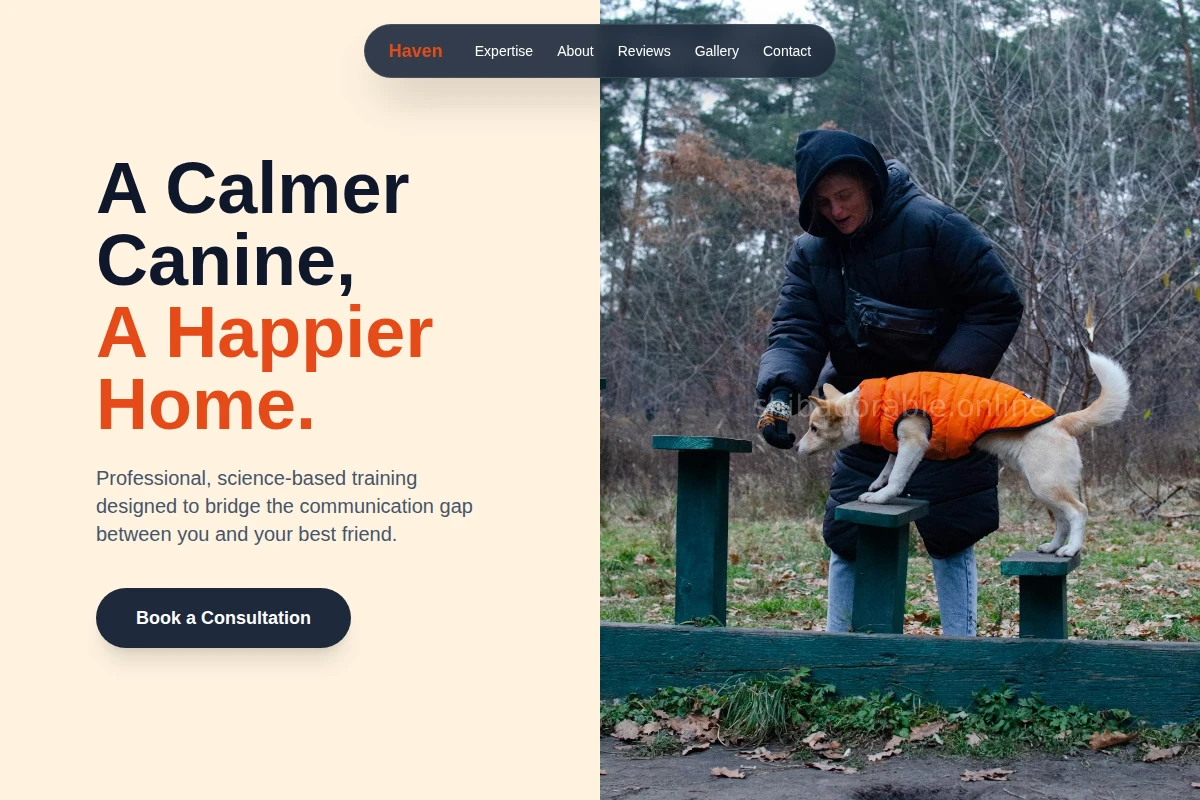 Haven Dog Training