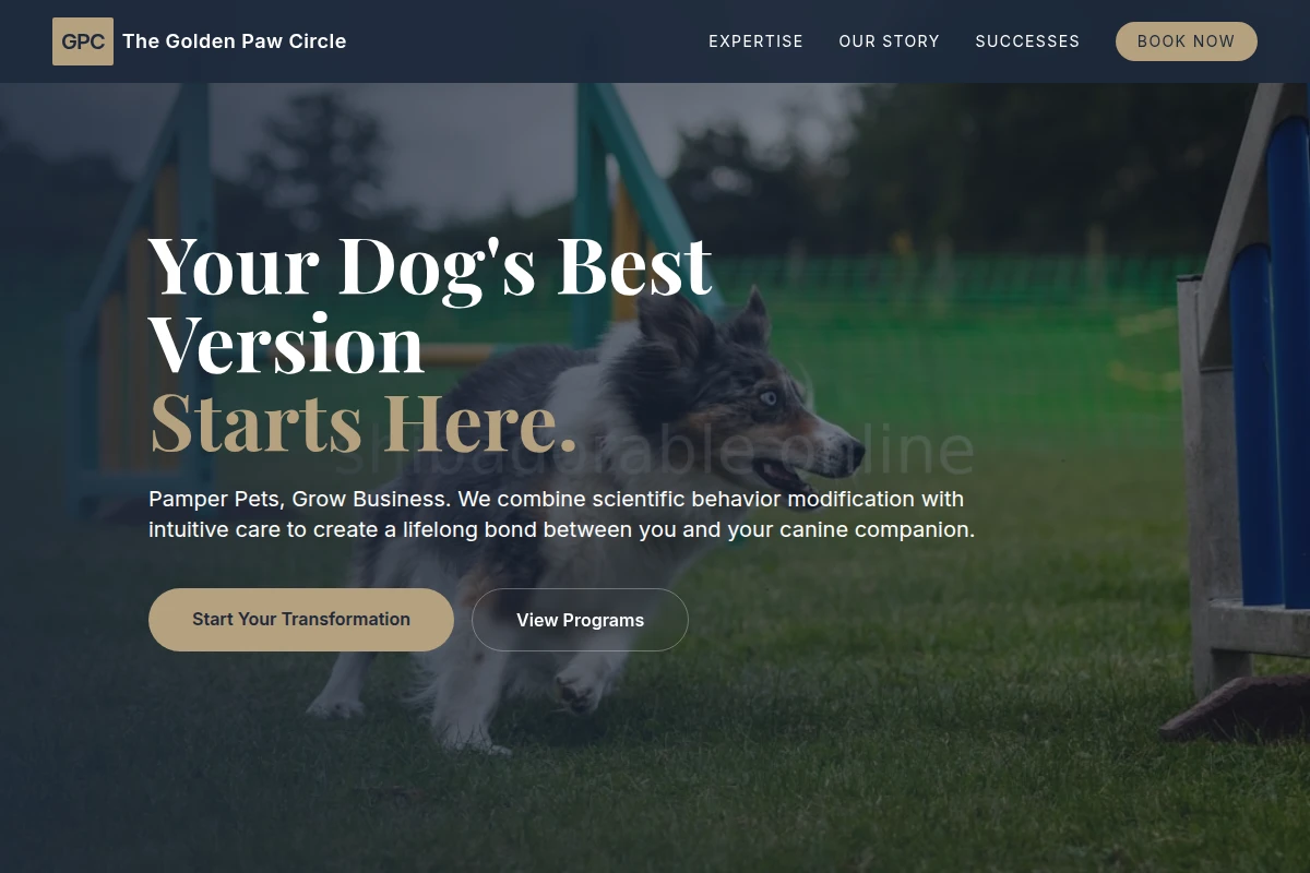 Corner Dog Training