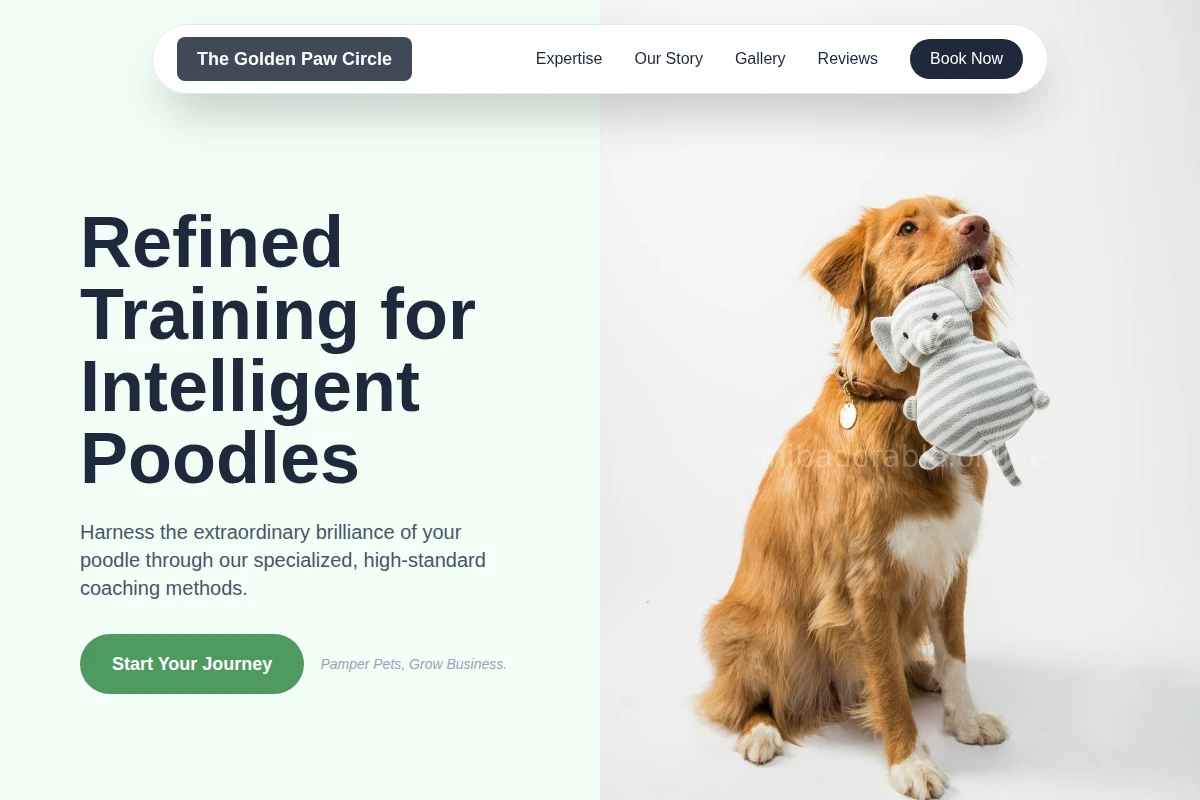 Poodle Dog Training