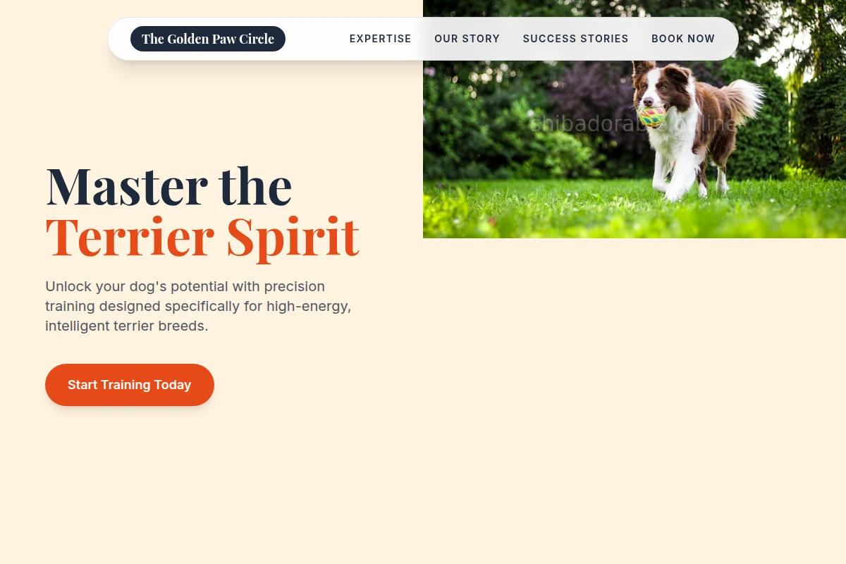 Terrier Dog Training
