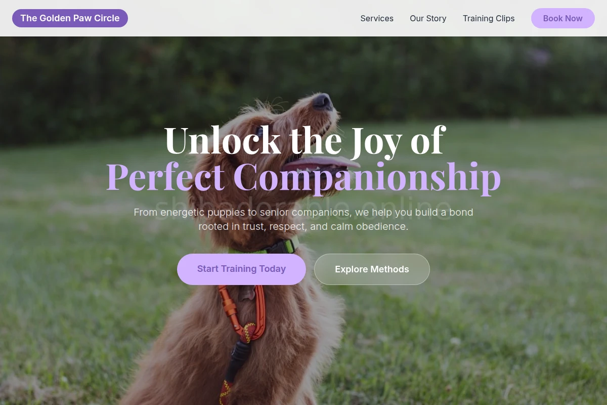 Collar Dog Training