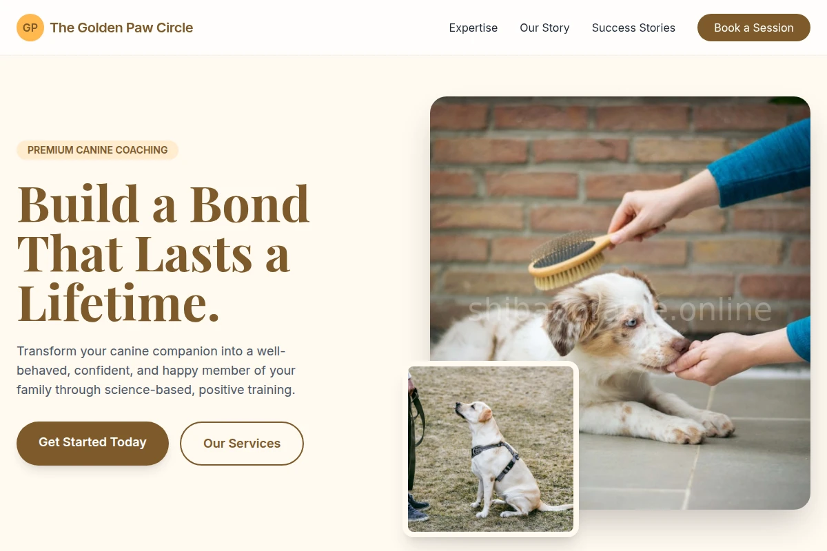 Studio Dog Training