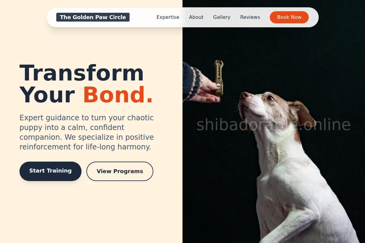 Yarn Dog Training