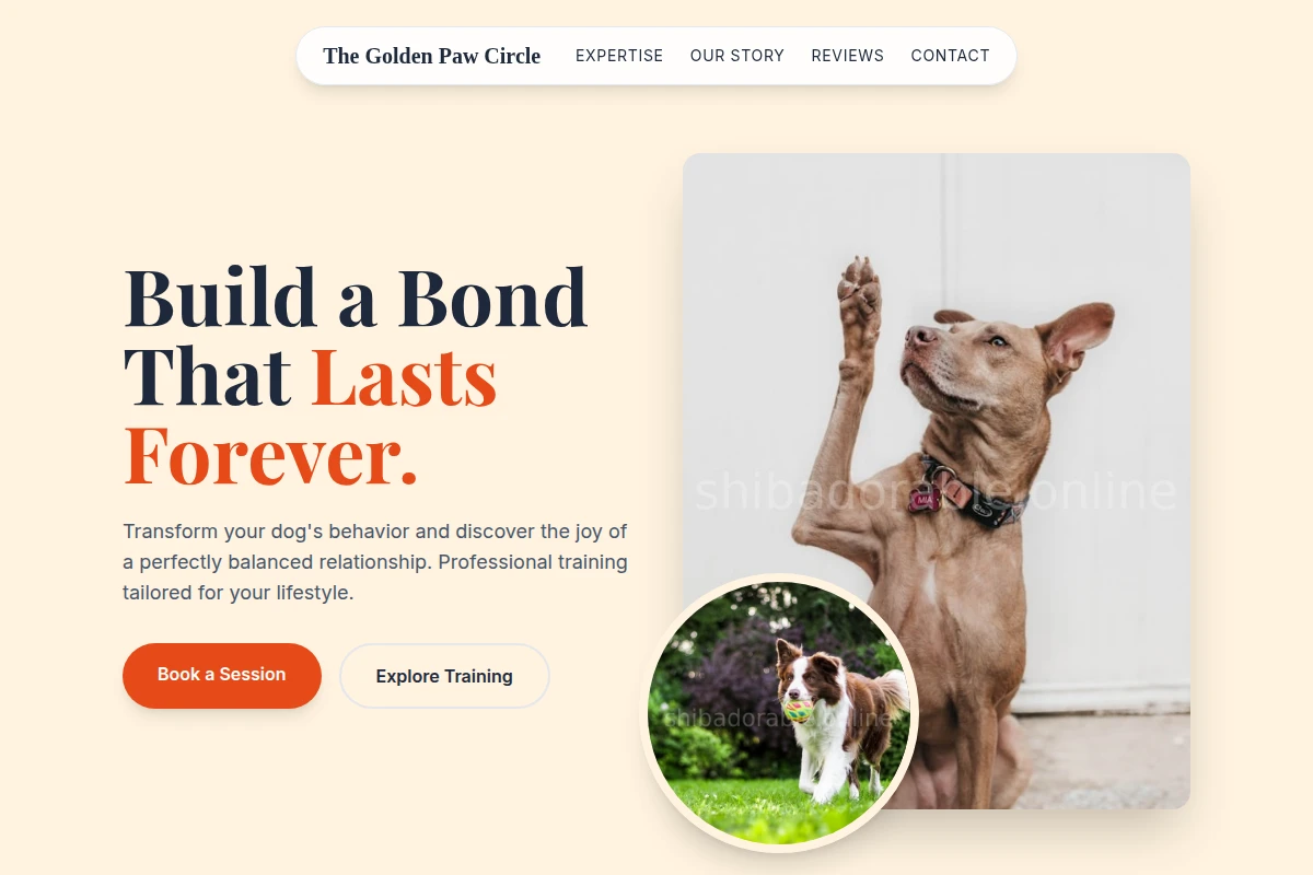Collar Dog Training