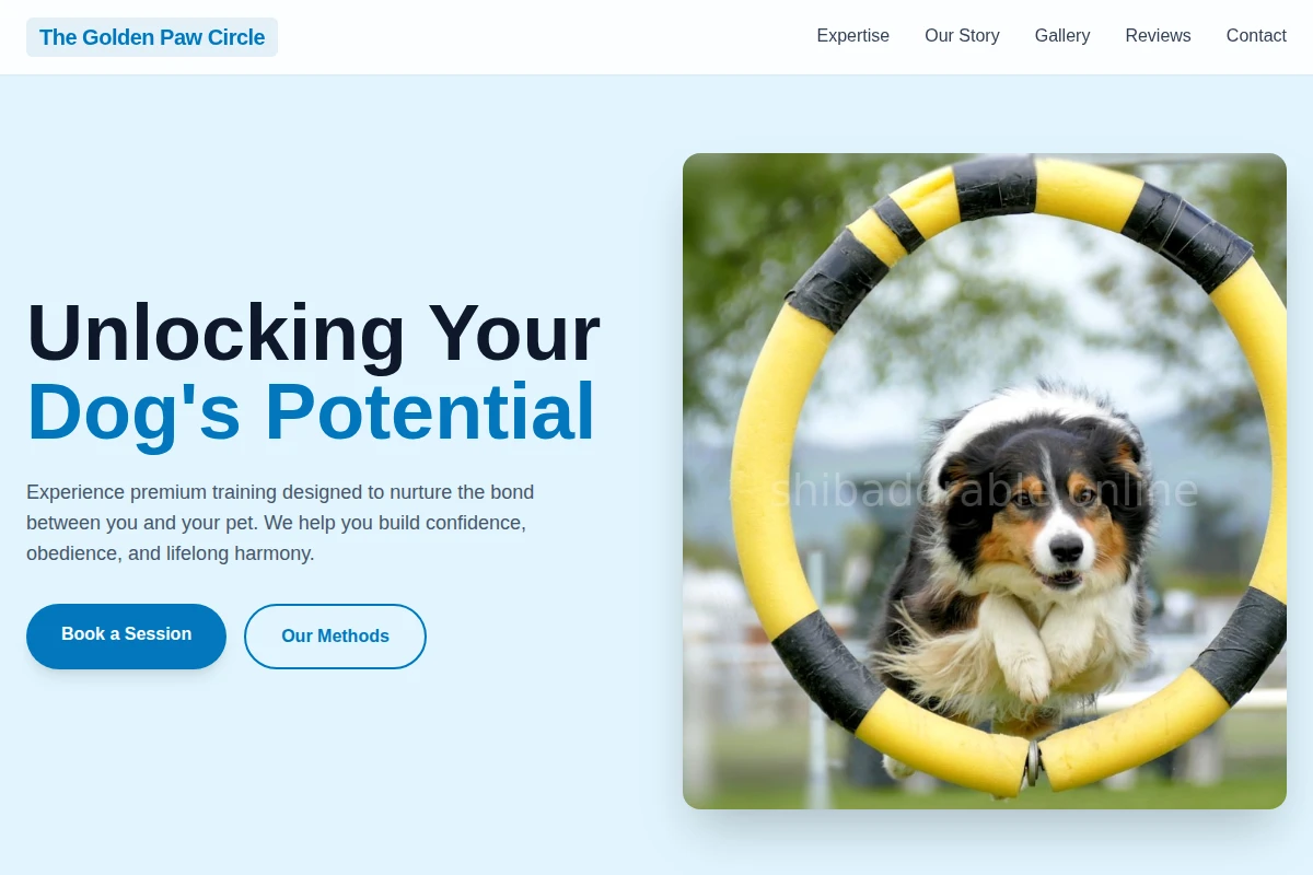 Meow Dog Training