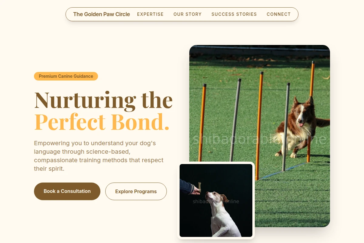 Kennel Dog Training