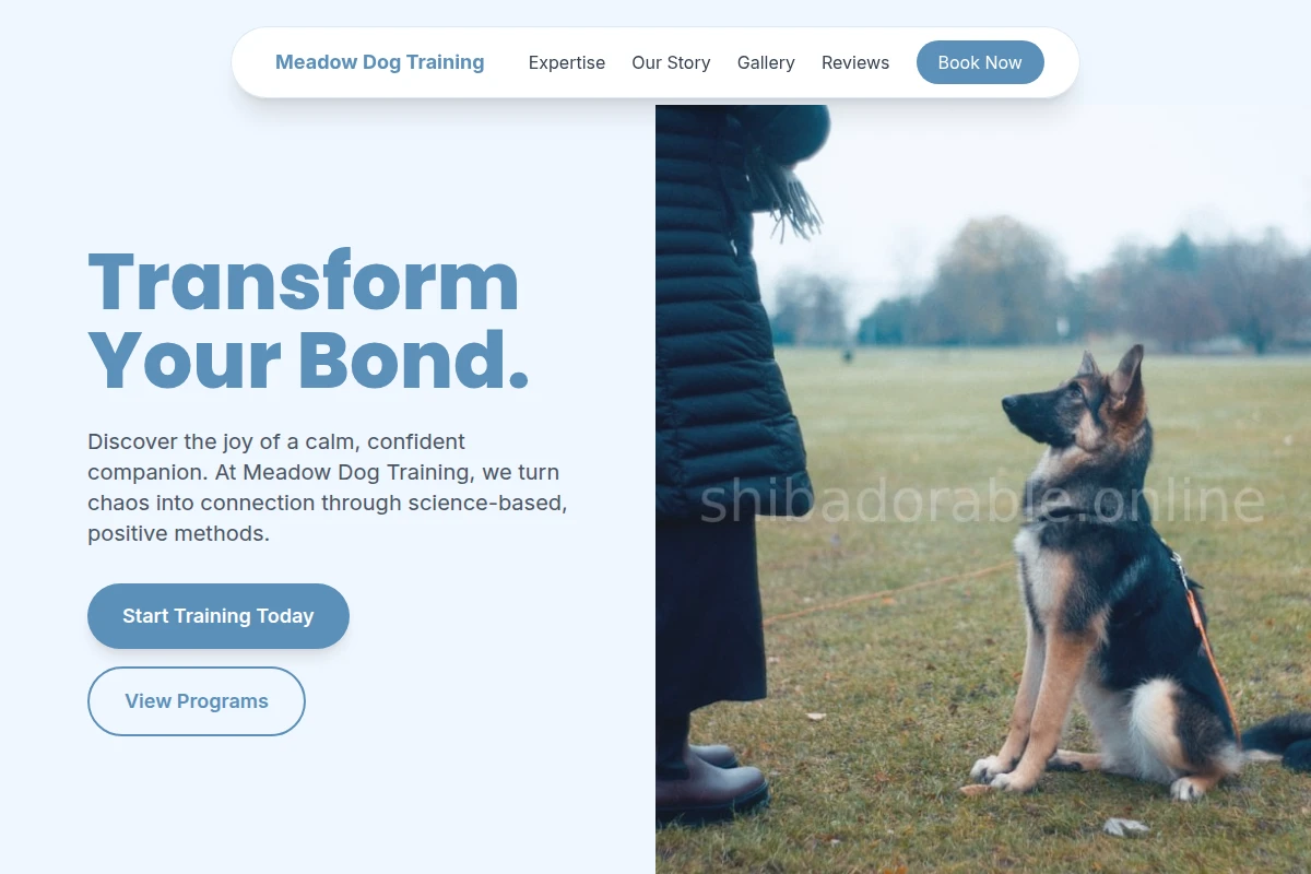Meadow Dog Training