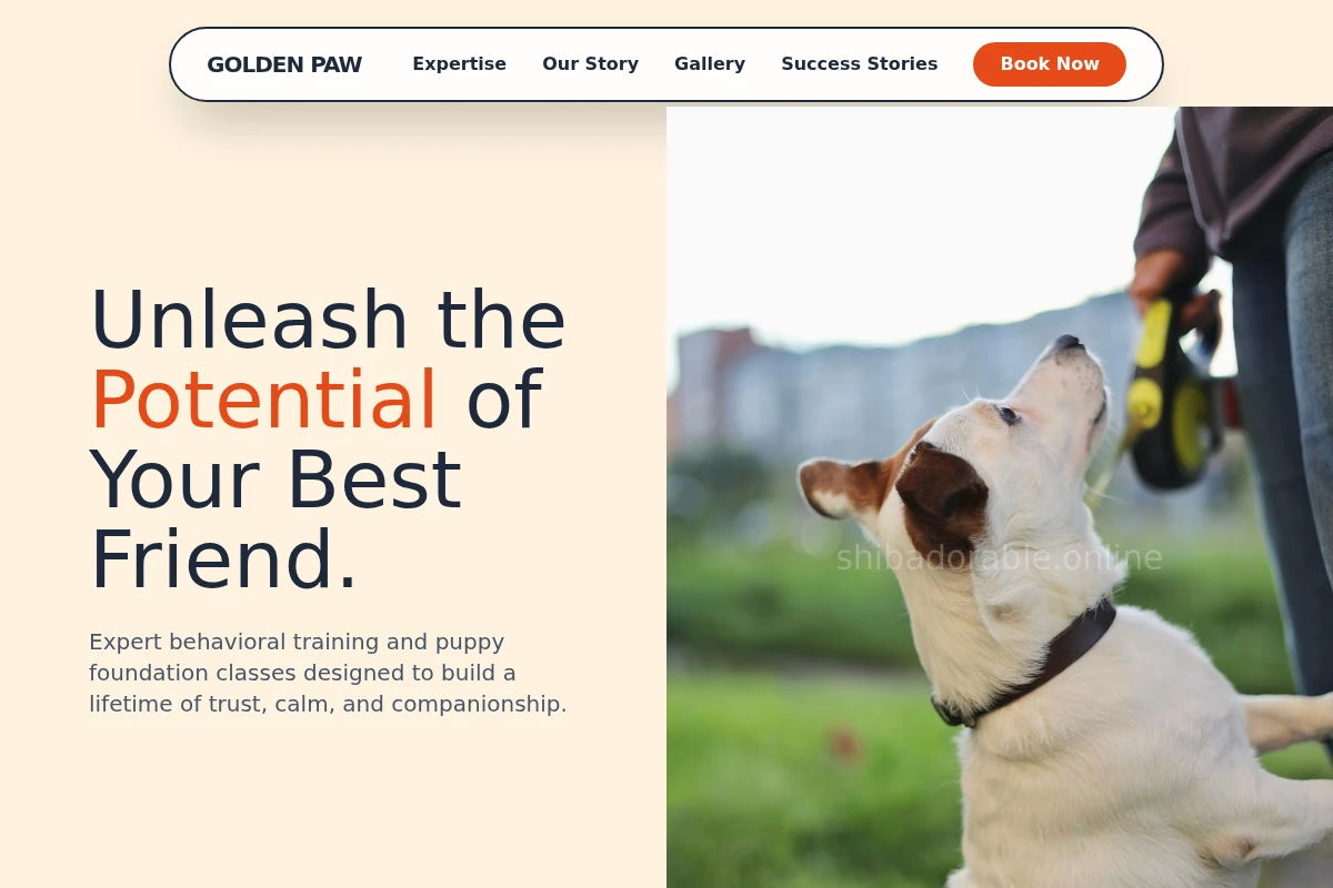 Hub Dog Training
