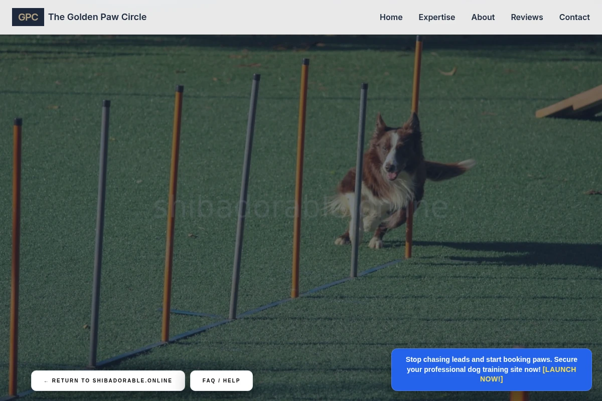 Scratch Dog Training