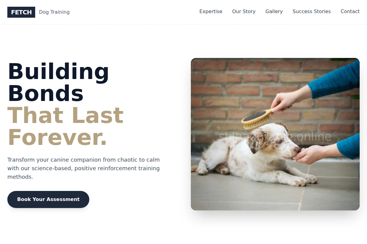Fetch Dog Training