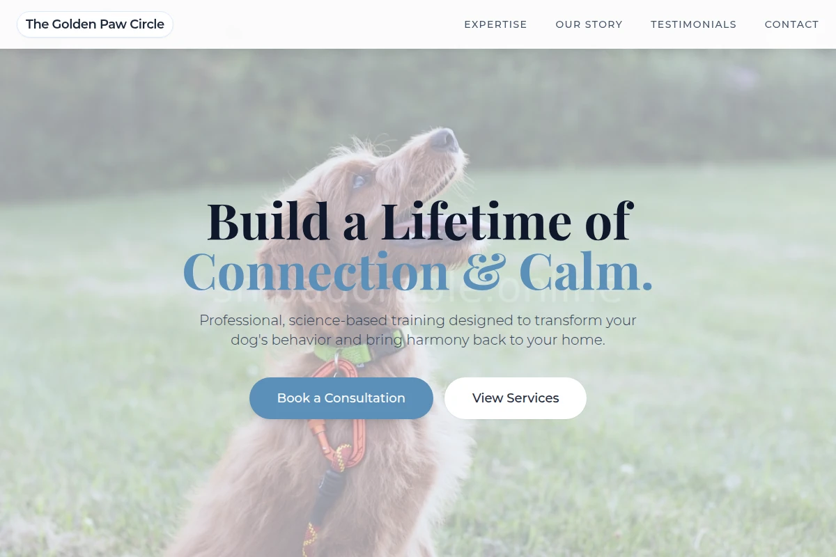Scratch Dog Training