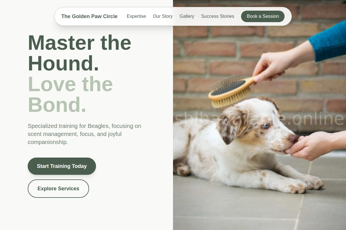 Beagle Dog Training