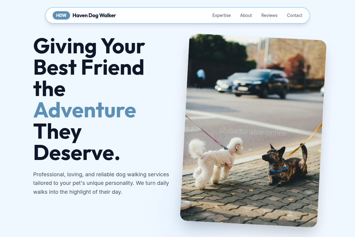 Haven Dog Walker