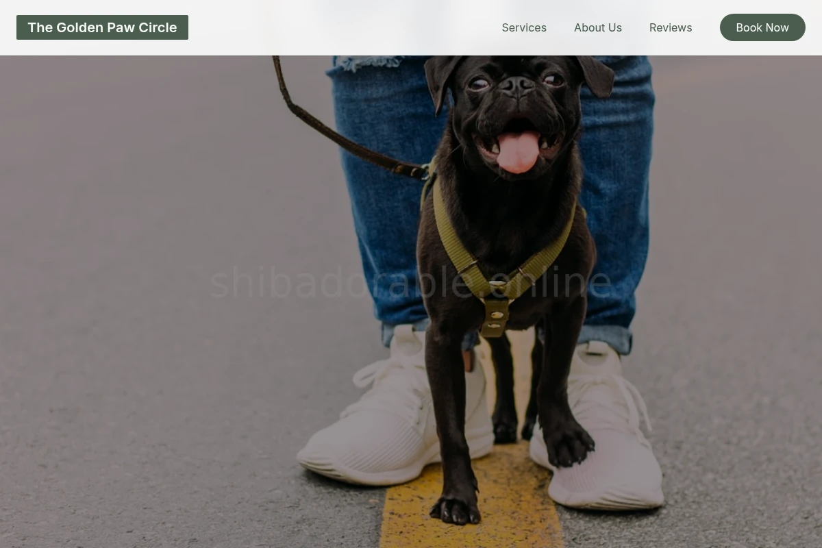 Park Dog Walker