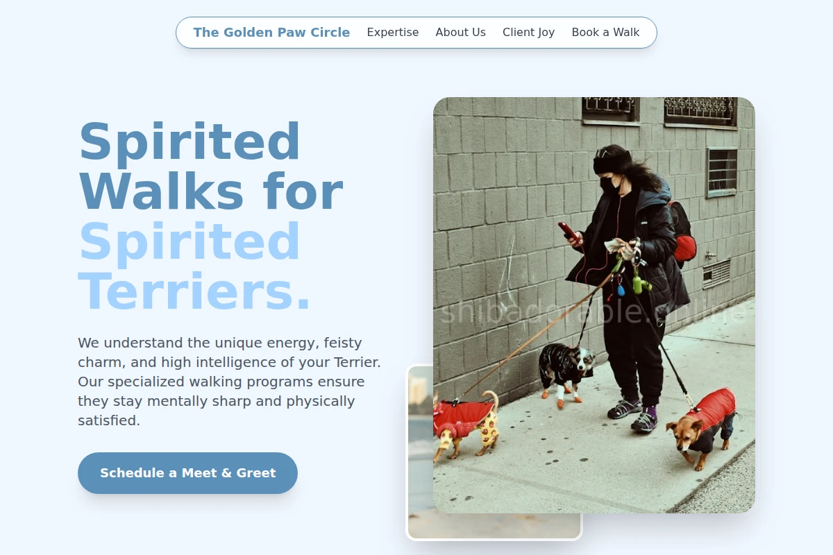 Terrier Dog Walker