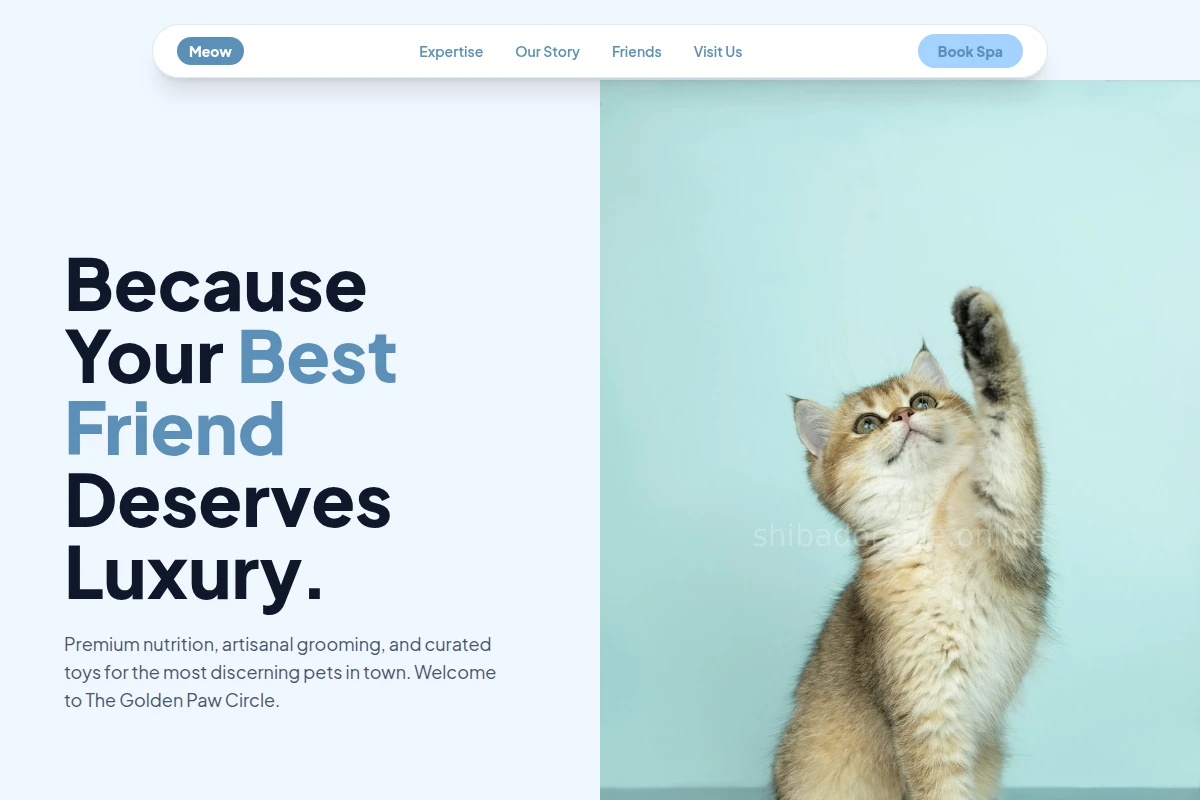 Meow Pet Shop