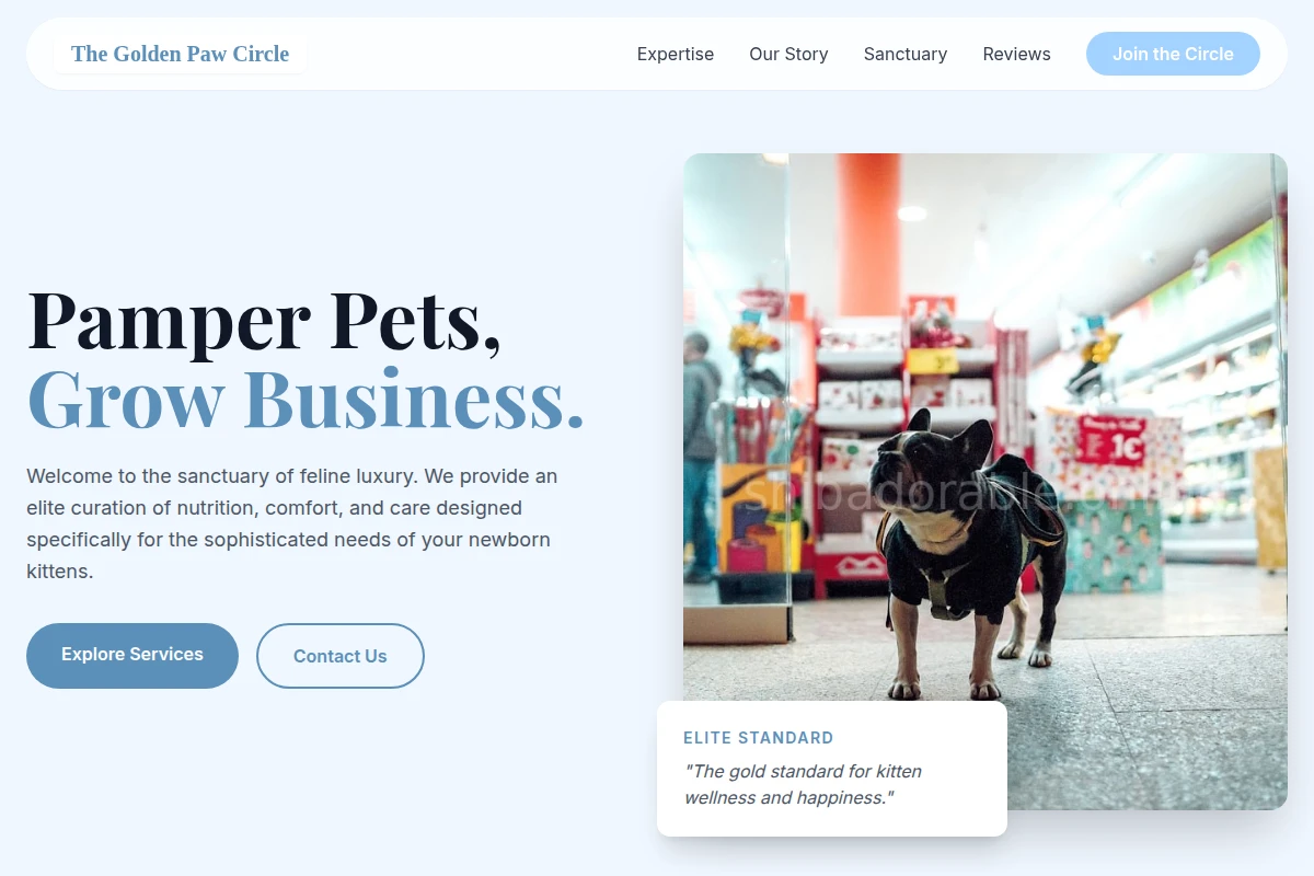 Kitten Pet Shop