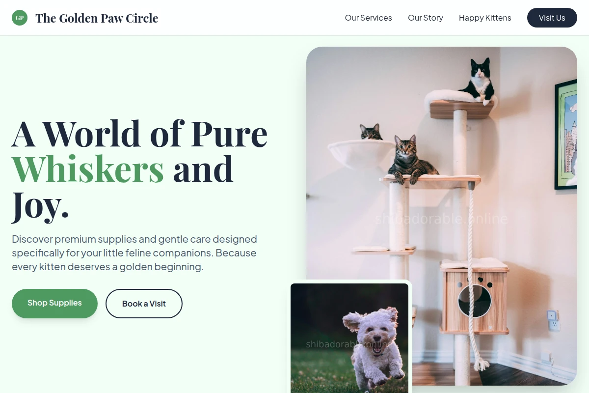 Kitten Pet Shop