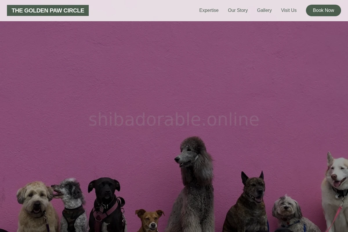 Hub Pet Shop